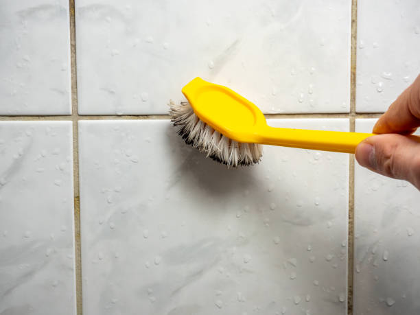 Best Insurance-Related Mold Remediation in Barnesville, MN
