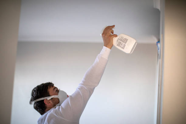 Best HVAC Mold Remediation in Barnesville, MN