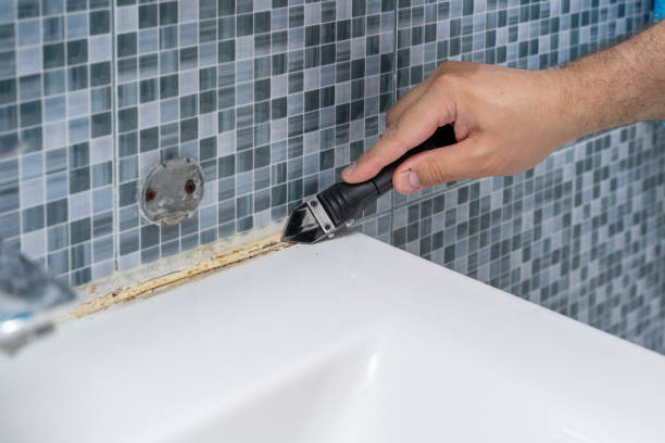 Best Residential Mold Remediation in Barnesville, MN